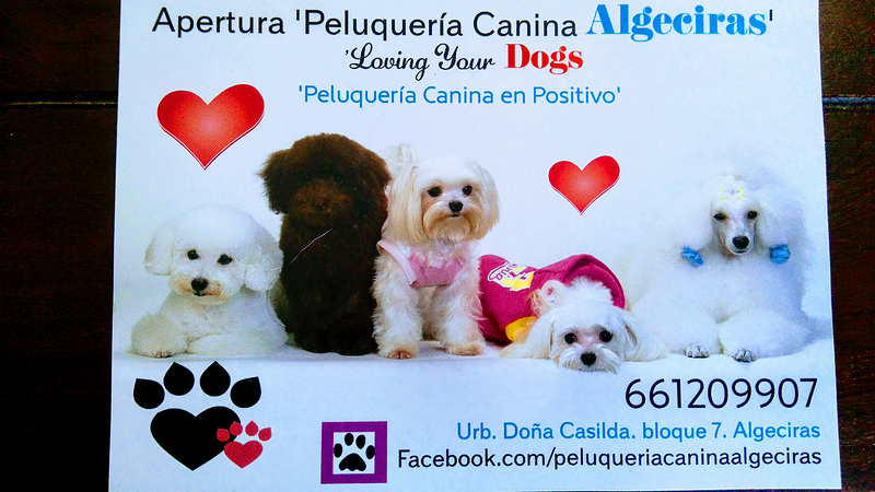 Loving Your Dogs PELUQUERIAS CANINAS