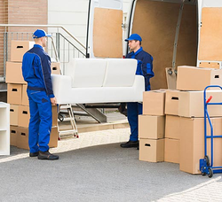 Galería de imágenes