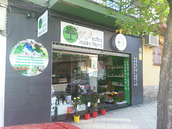 Galería de imágenes