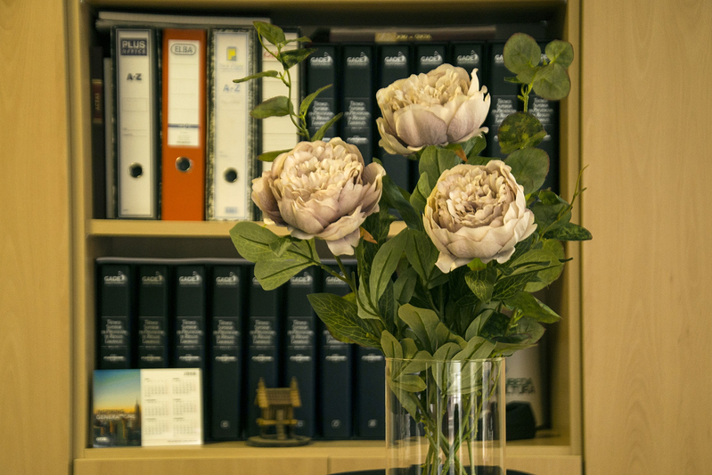 G&C Gesti&oacute;n 2