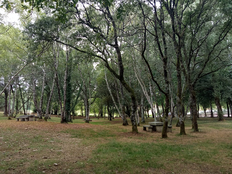 Chiringuito Ribadiso 11