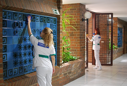 Galería de imágenes