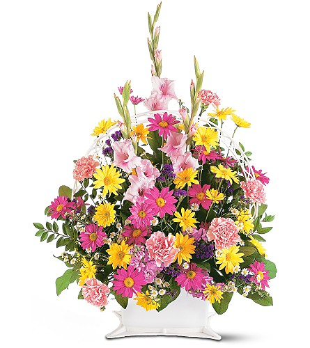 Florister&iacute;a Flores & Plantas Zaragoza 2