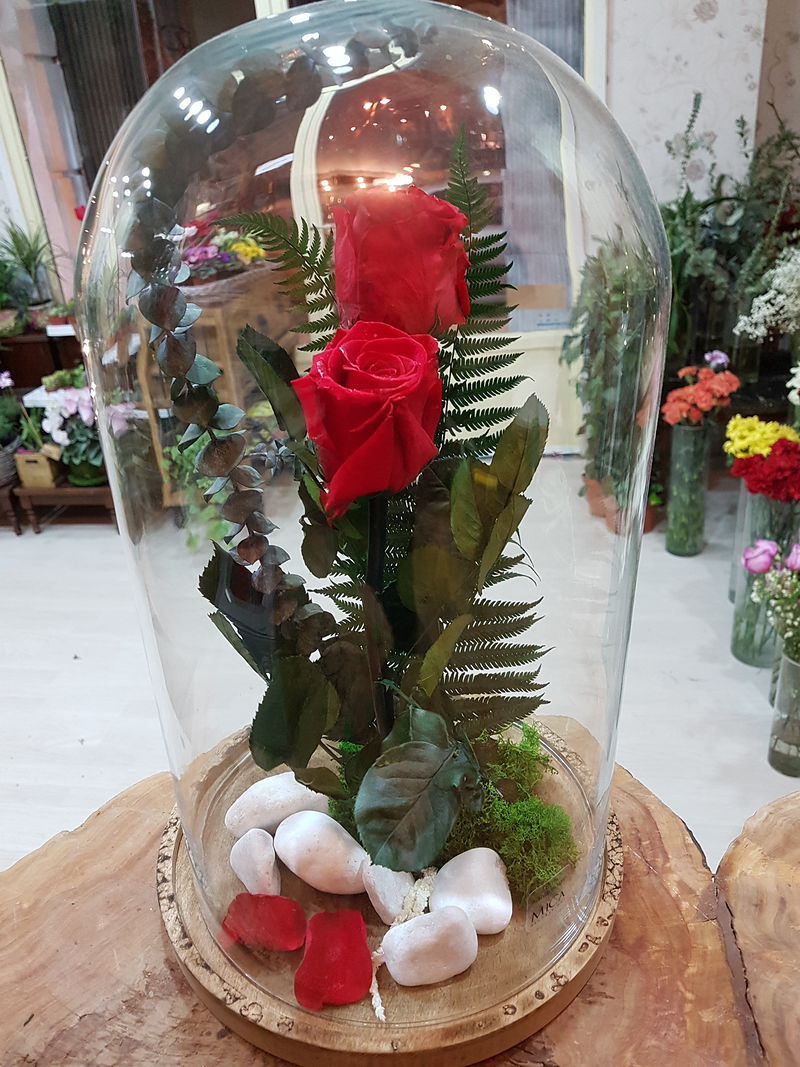 Florister&iacute;a Flores & Plantas Zaragoza 26