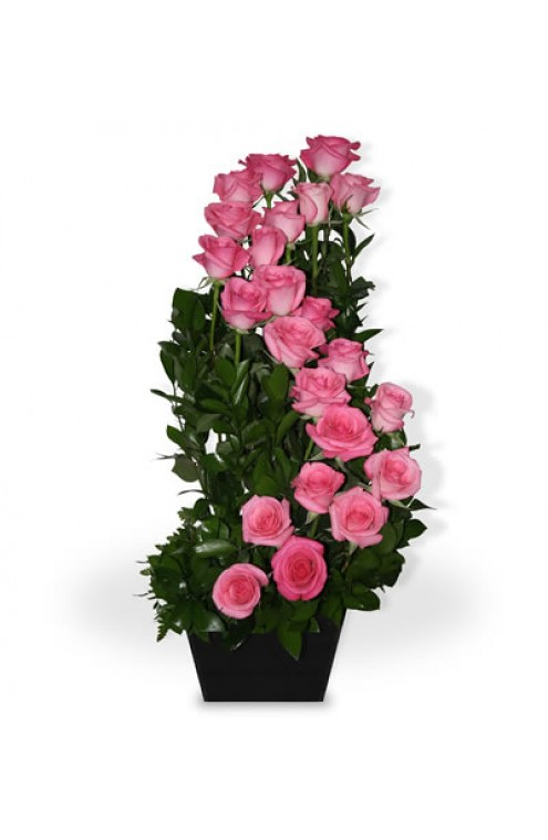 Florister&iacute;a Flores & Plantas Zaragoza 3