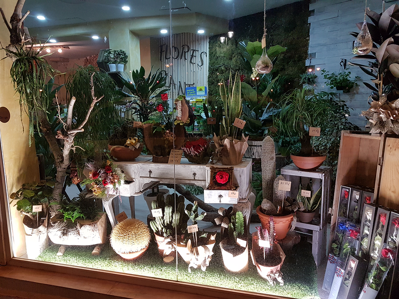 Florister&iacute;a Flores & Plantas Zaragoza 17