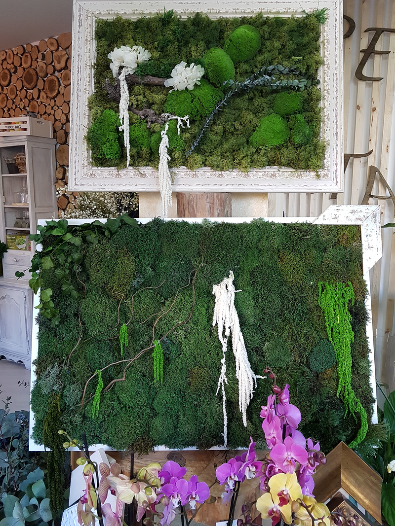 Florister&iacute;a Flores & Plantas Zaragoza 44