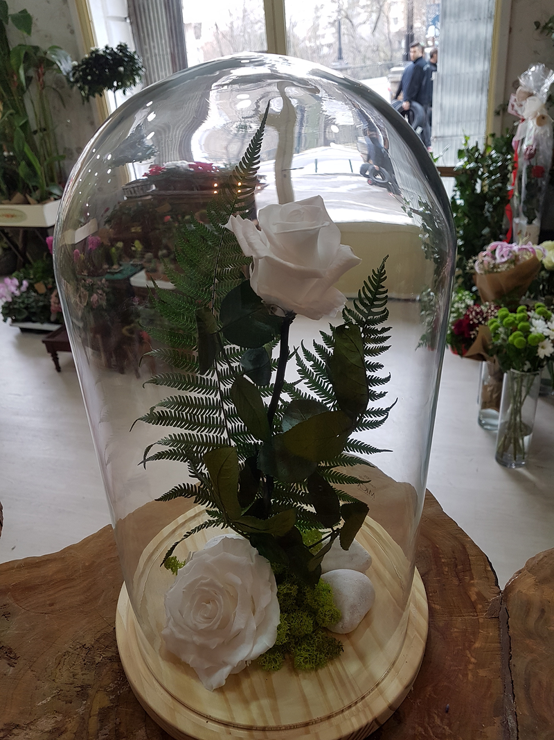 Florister&iacute;a Flores & Plantas Zaragoza 18