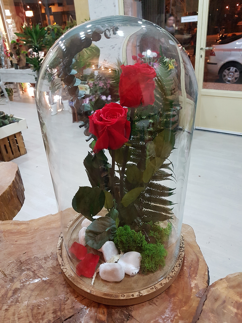 Florister&iacute;a Flores & Plantas Zaragoza 24