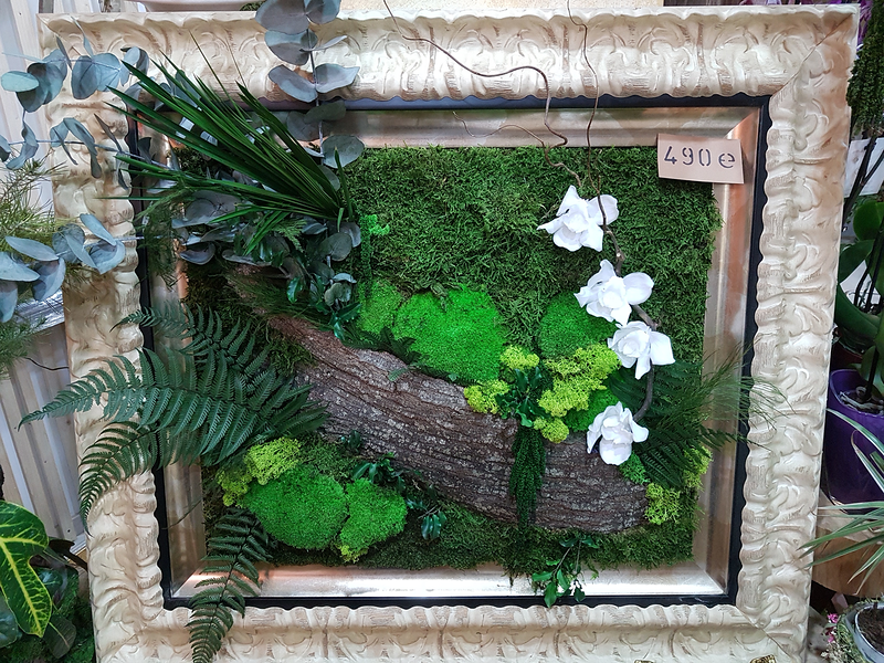 Florister&iacute;a Flores & Plantas Zaragoza 38