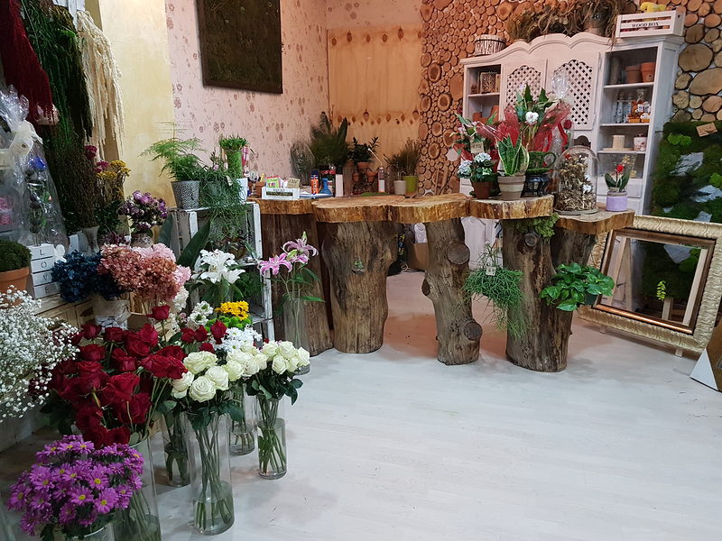Florister&iacute;a Flores & Plantas Zaragoza 16