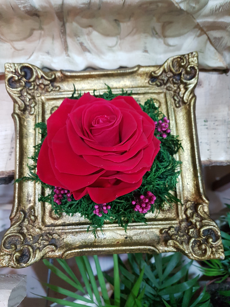 Florister&iacute;a Flores & Plantas Zaragoza 25