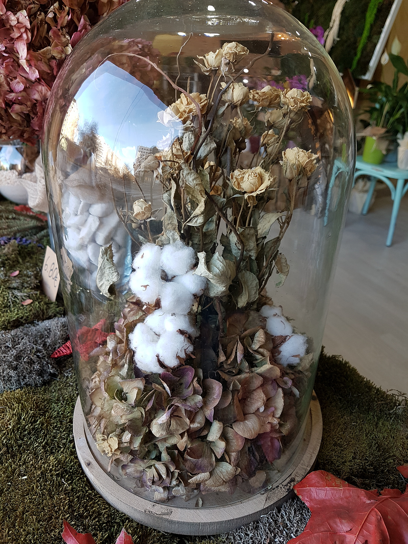 Florister&iacute;a Flores & Plantas Zaragoza 32