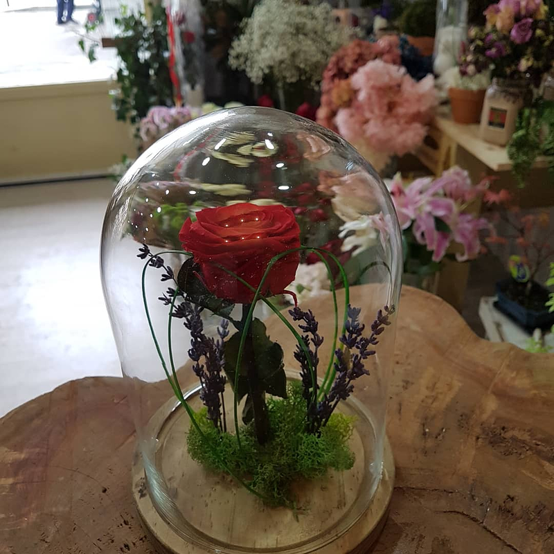 Florister&iacute;a Flores & Plantas Zaragoza 6