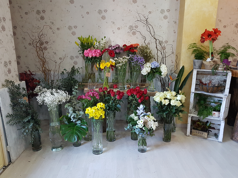 Florister&iacute;a Flores & Plantas Zaragoza 14