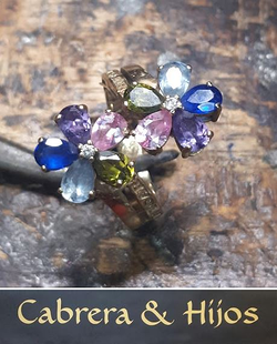 Galería de imágenes