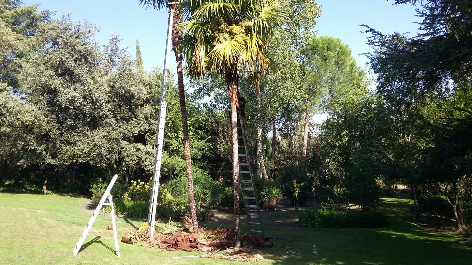 Nelson Servicios De Jardinería