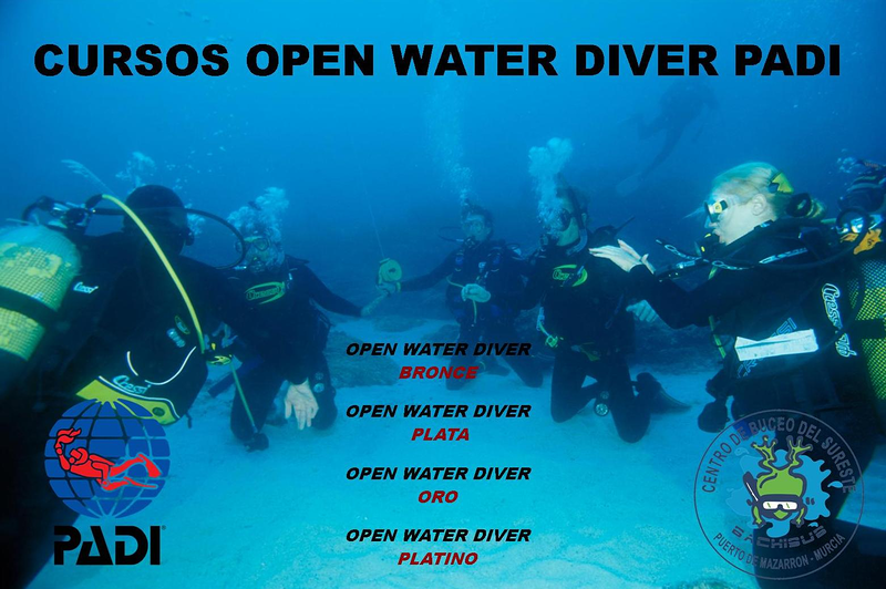 Centro de Buceo del Sureste Bachisub 23