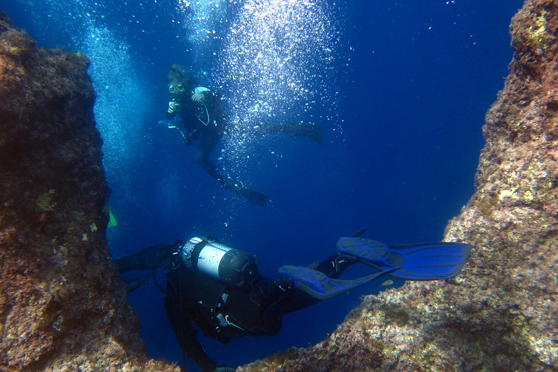 Centro de Buceo del Sureste Bachisub 31