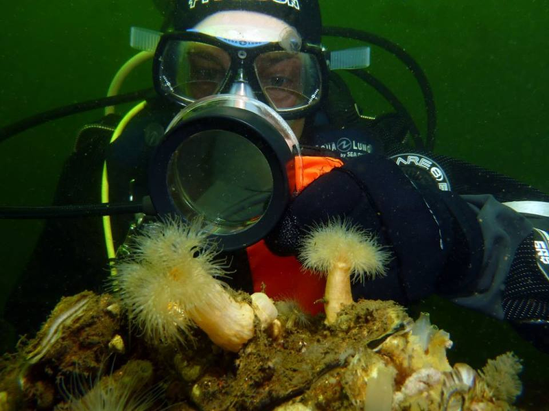 Centro de Buceo del Sureste Bachisub 21