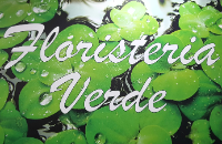 Floristería Verde