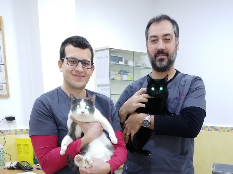 Centro Veterinario Anivet Arroyomolinos Centro Veterinario Anivet Arroyomolinos