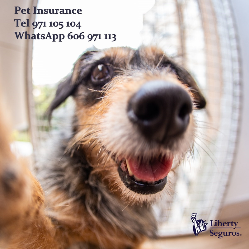 Segur Temple S.L.U. 31