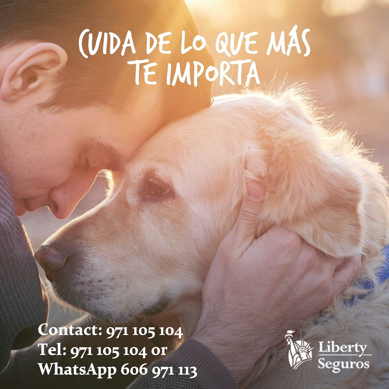 Segur Temple S.L.U. 16