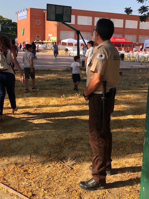 Lendiser Seguridad SEGURIDAD Y VIGILANCIA: EMPRESAS