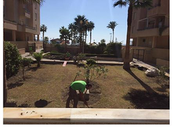 Oasis Servicios MOTRIL Oasis Servicios MOTRIL