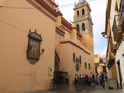 Galería de imágenes