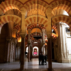 Galería de imágenes