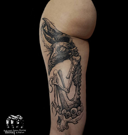 Galería de imágenes