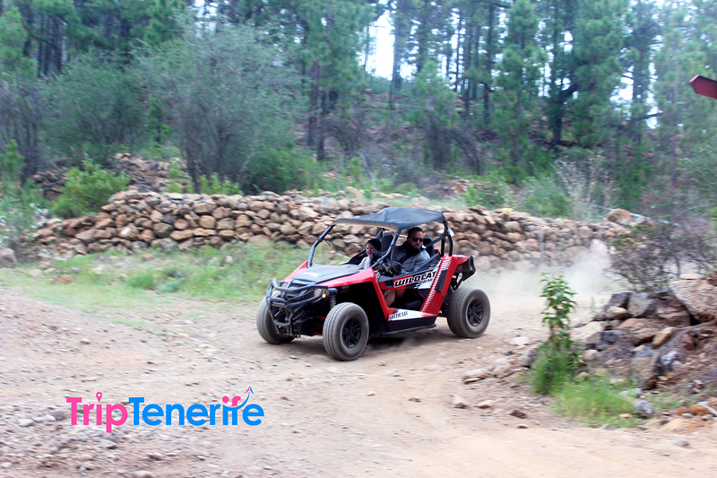 Excursi&oacute;n Triptenerife 3