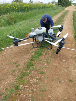 Galería de imágenes