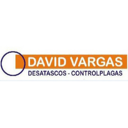 Desatascos David Vargas