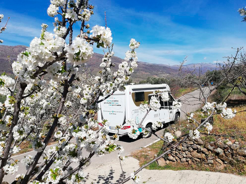 Autocaravanas Van Van Go 10