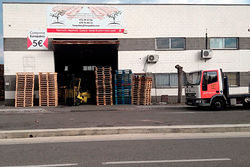 FEM Palets PALETS: FABRICANTES Y MAYORISTAS FEM Palets PALETS: FABRICANTES Y MAYORISTAS