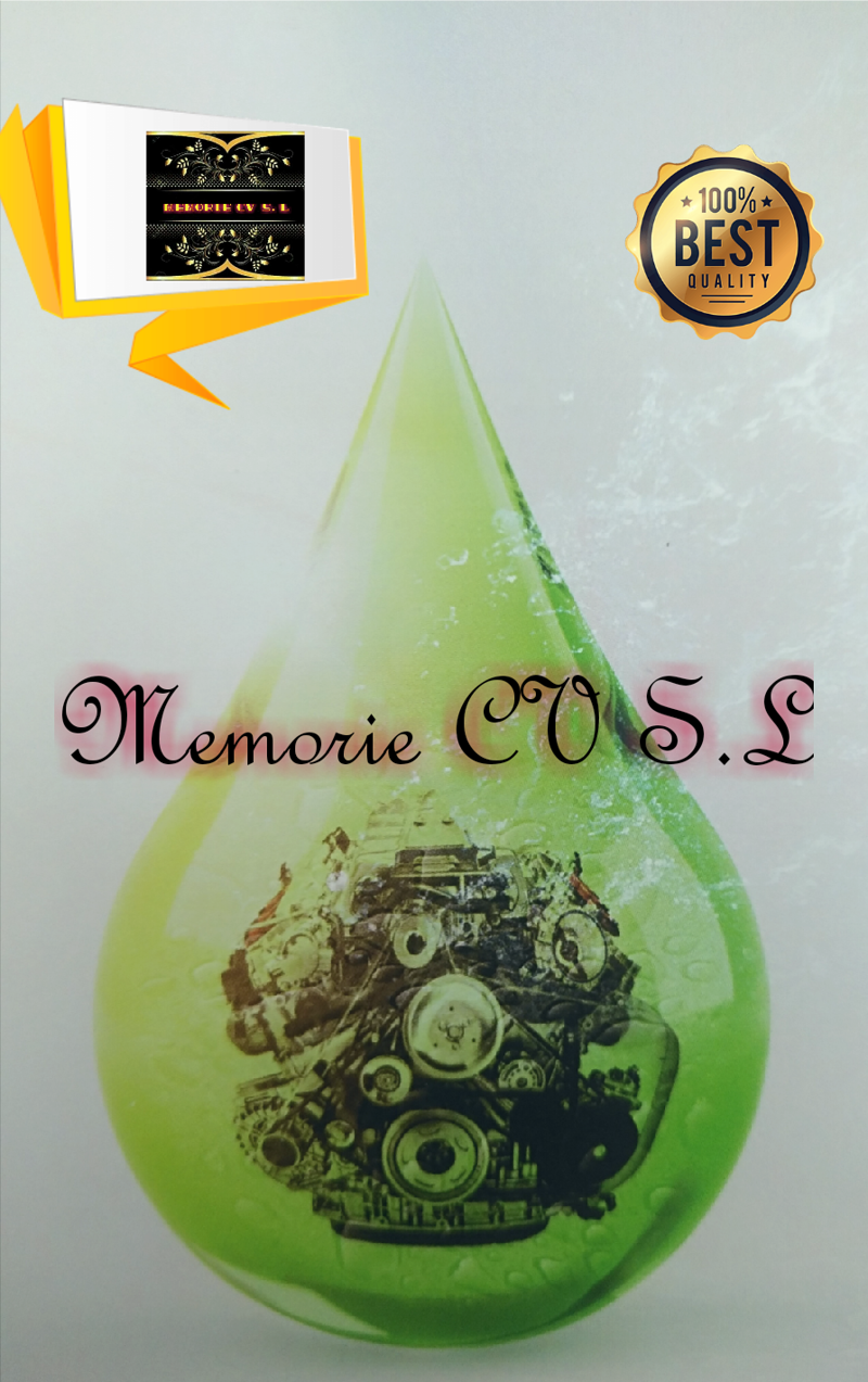 Memorie CV S.L. Les Borges Blanques