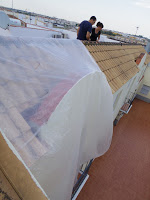 Murciélagos y Más 5