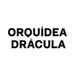Orquídea Drácula