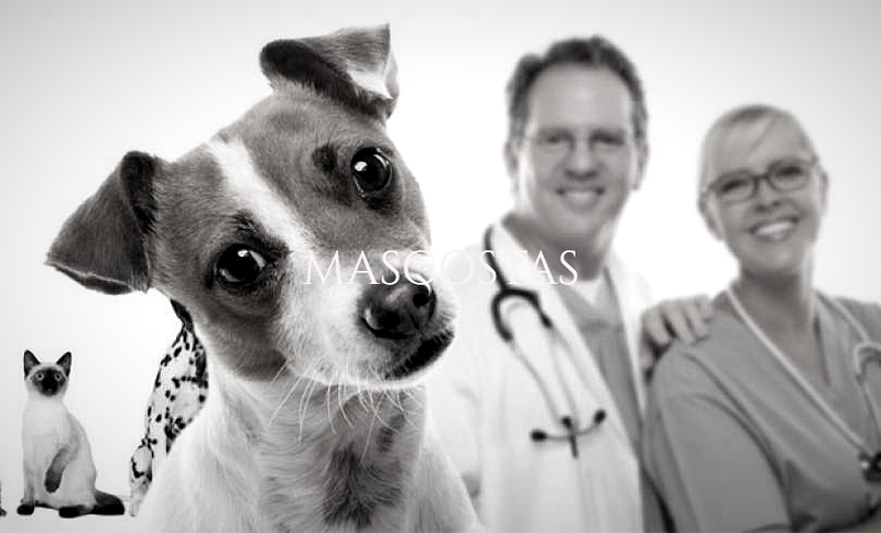 Recaderosmurcia.Com. 4