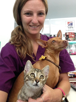Clínica Veterinaria Babieca Los Corrales de Buelna Clínica Veterinaria Babieca Los Corrales de Buelna