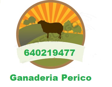 Ganader&iacute;a Perico 2