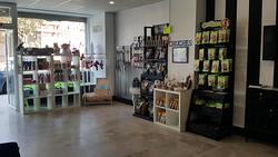 Galería de imágenes