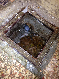 Galería de imágenes