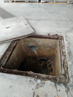 Galería de imágenes