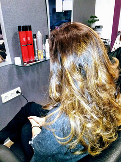 Galería de imágenes