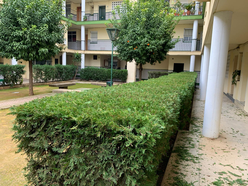 Milsur Group Facility Services S.L. LIMPIEZA: EMPRESAS