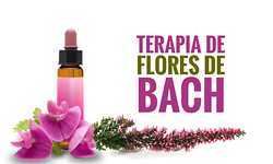 Terapias Naturales Udhaare 3 Terapias Naturales Udhaare 3